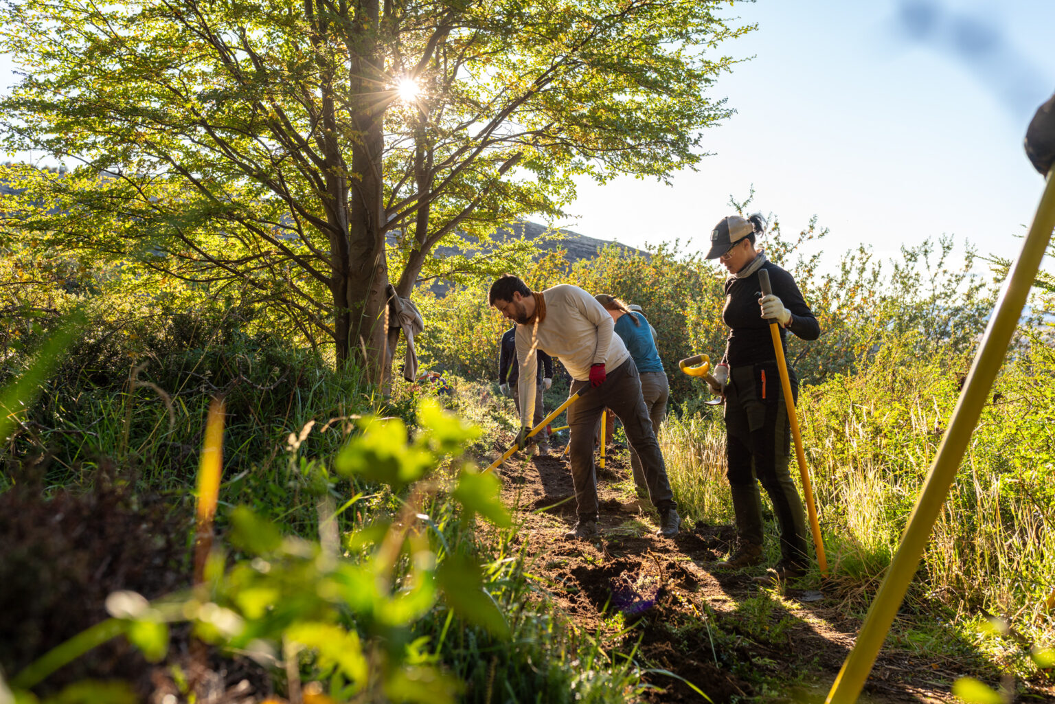 “10 Volunteers for 10 Days” application deadline extended to March 5 