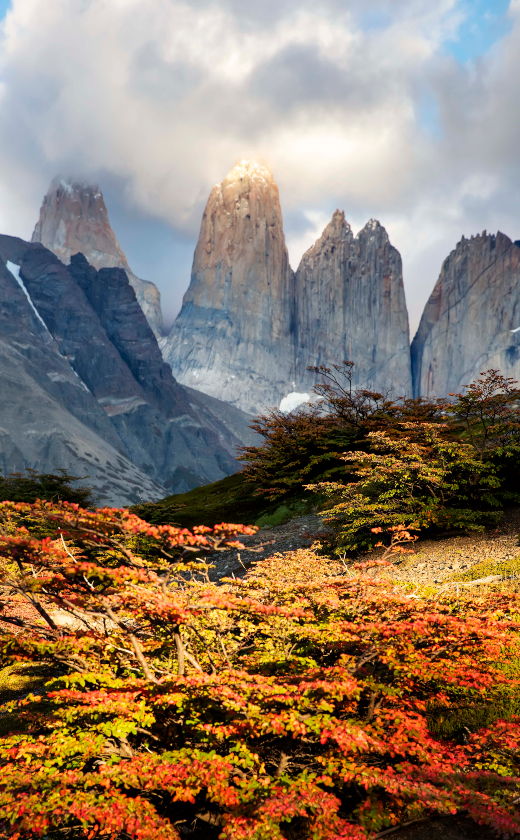 Temporadas en Torres del Paine - Reserva Las Torres