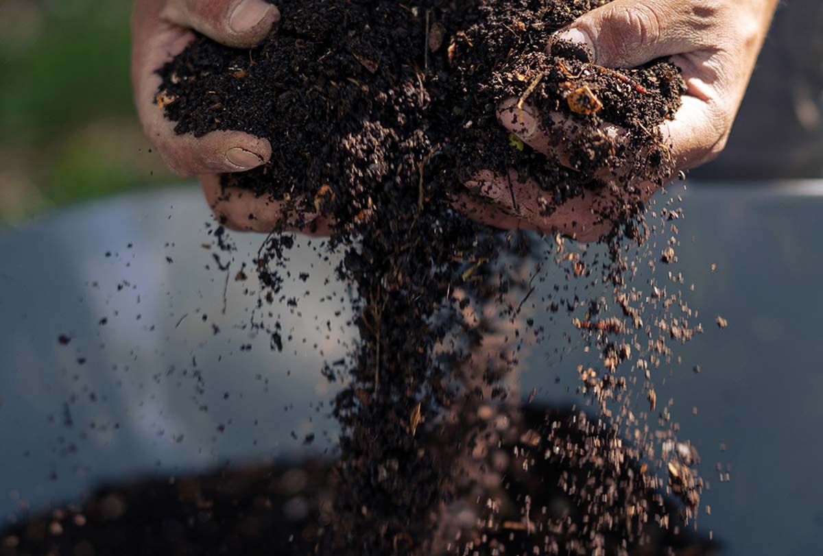 Huerta biointensiva de Las Torres Patagonia amplía variedad de bio-preparados