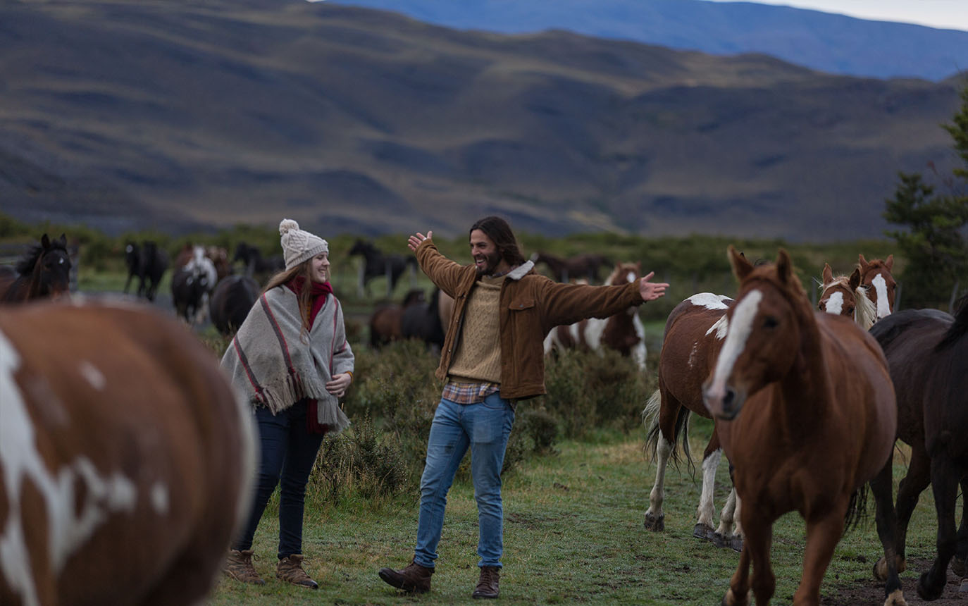 Patagonia Horses 