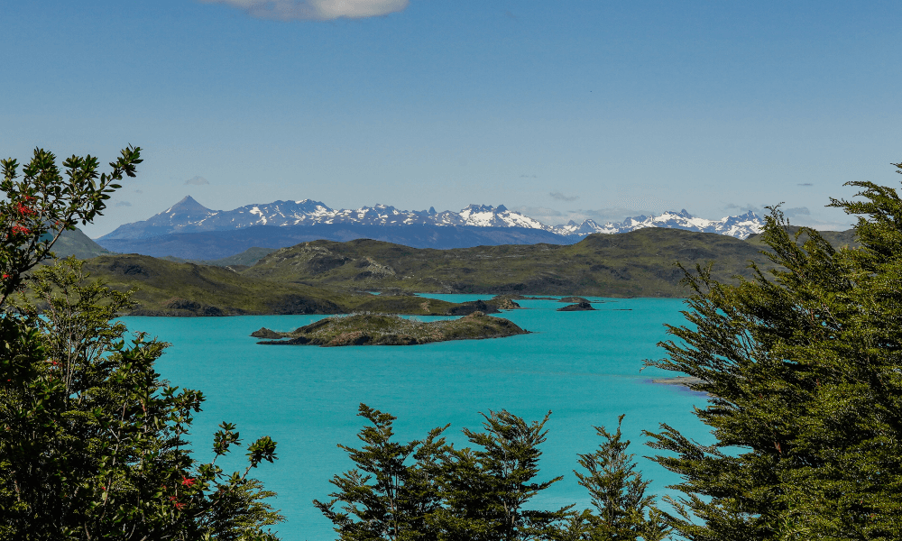 Camping Francés - Refugio Chileno: 781 fotos - Magallanes, Chile